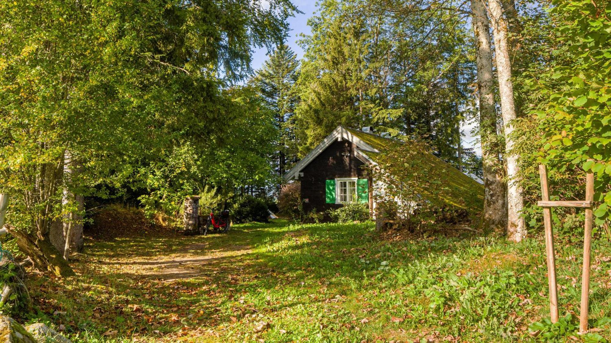Das Schneiderhaus Höchenschwand Dış mekan fotoğraf